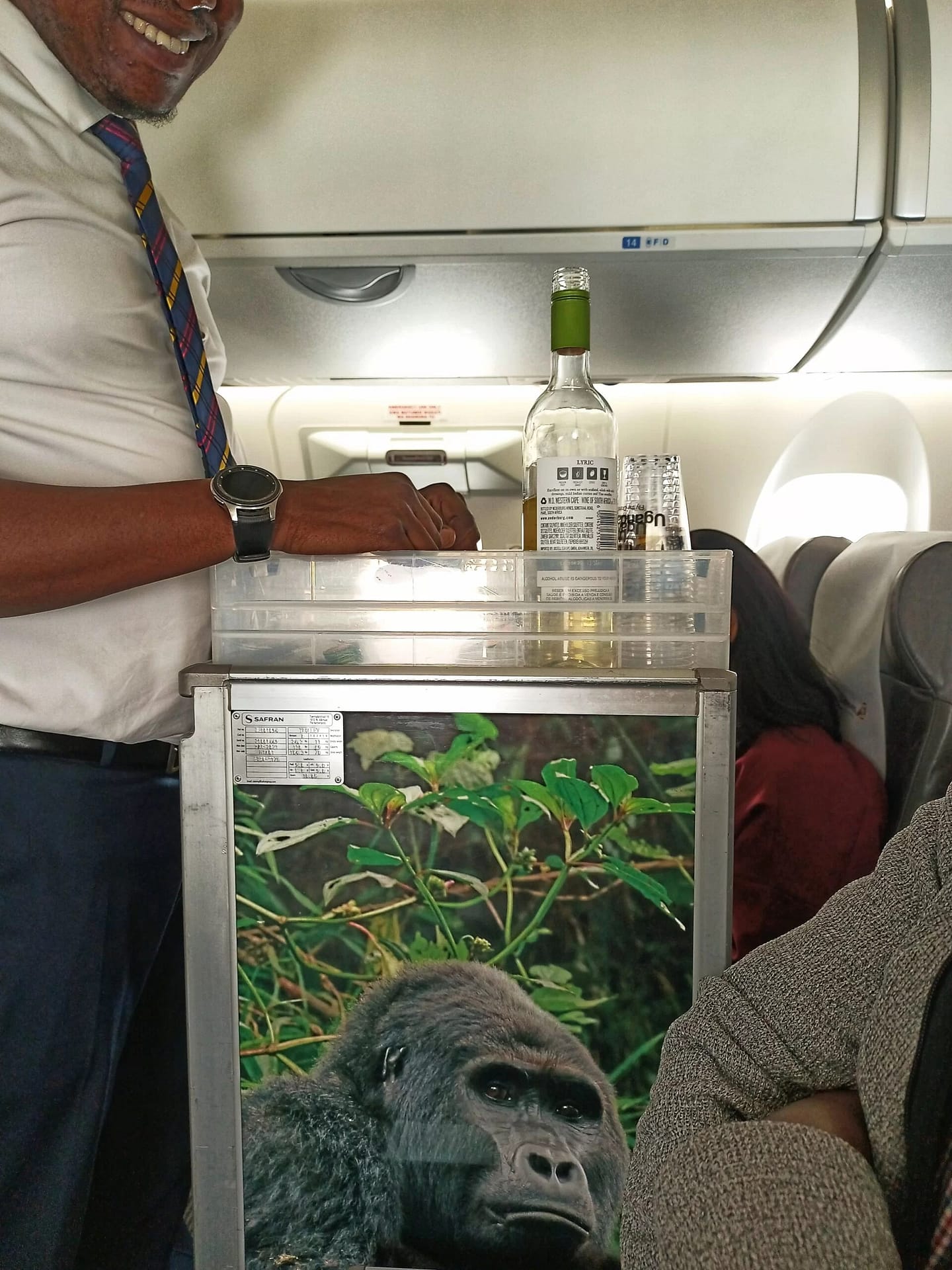Picture of air host offering wine on flight